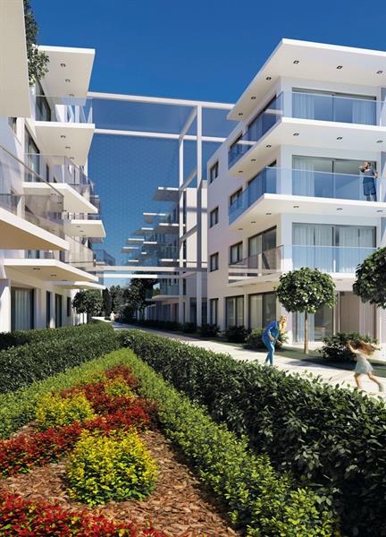 Studio Apartment for Sale in Zakaki, Limassol